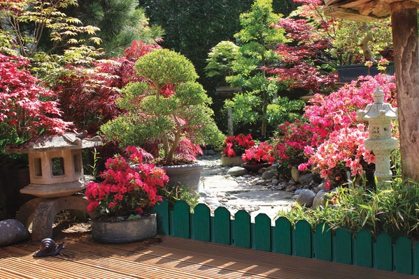 Sierra Border 20 x 80 cm